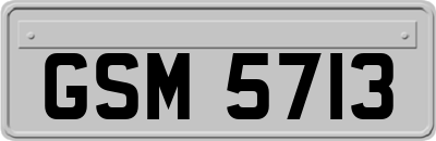 GSM5713