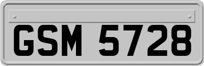 GSM5728