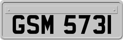 GSM5731