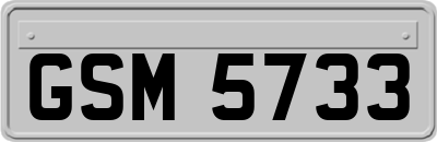 GSM5733