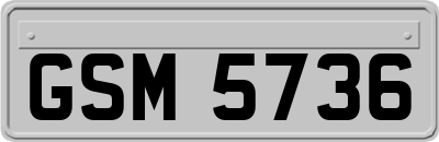 GSM5736