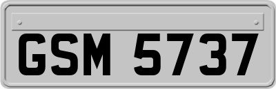 GSM5737