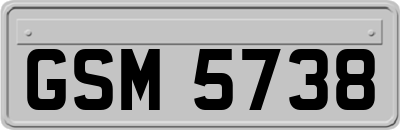 GSM5738