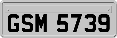 GSM5739