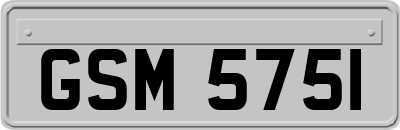 GSM5751