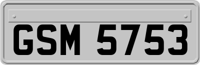 GSM5753