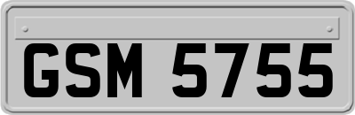 GSM5755