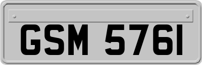 GSM5761
