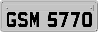 GSM5770