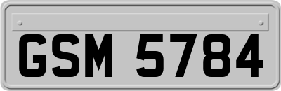GSM5784