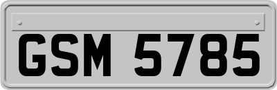 GSM5785