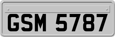 GSM5787