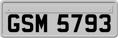 GSM5793