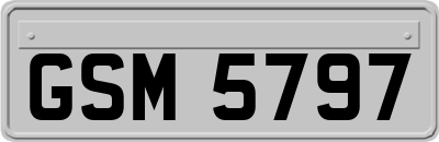 GSM5797