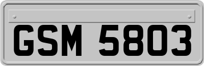 GSM5803