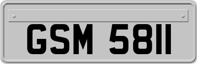 GSM5811