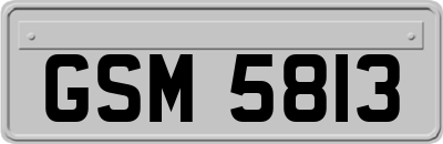 GSM5813