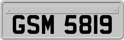 GSM5819