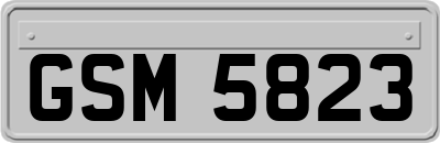 GSM5823