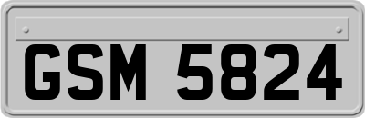 GSM5824