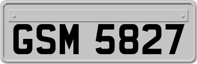 GSM5827