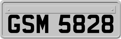 GSM5828