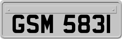 GSM5831