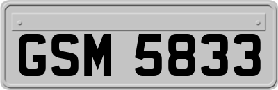 GSM5833