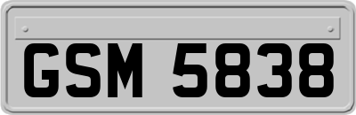 GSM5838