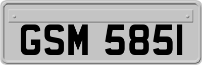 GSM5851