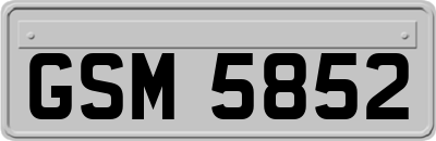 GSM5852