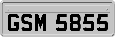 GSM5855