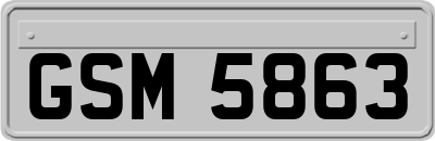 GSM5863