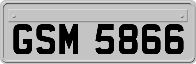 GSM5866