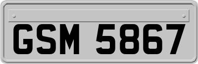 GSM5867
