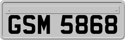 GSM5868
