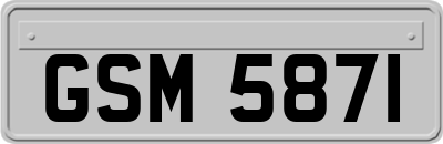 GSM5871
