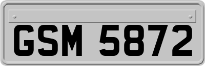GSM5872