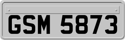 GSM5873