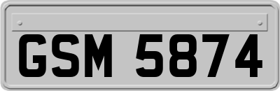 GSM5874