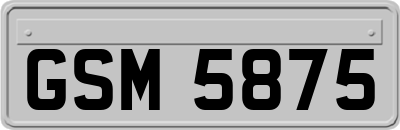 GSM5875