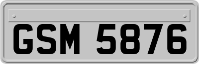 GSM5876