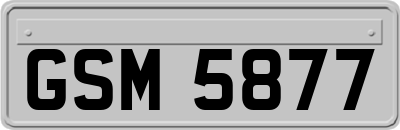 GSM5877