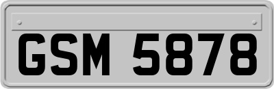 GSM5878