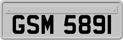 GSM5891