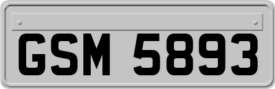 GSM5893