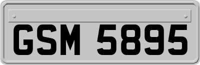 GSM5895