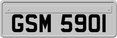 GSM5901