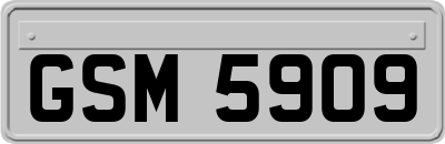 GSM5909