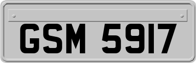 GSM5917